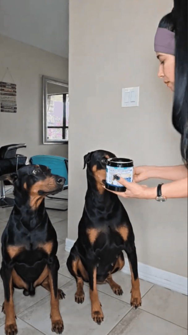 Woyamay | Thoughtful Pet Wellness for Dogs & Cats – Natural Care, Every Day