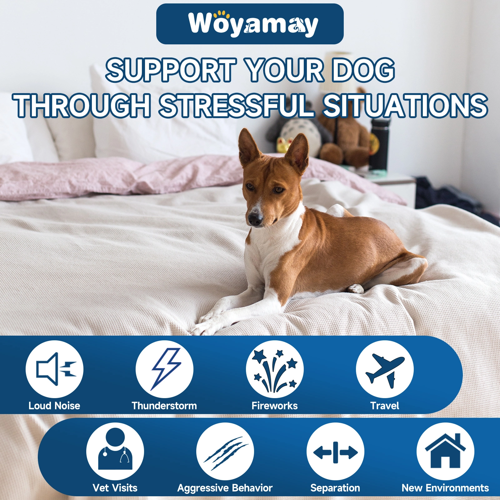 Dog Calming Treats – Natural Soft Chews with Melatonin, L-Theanine