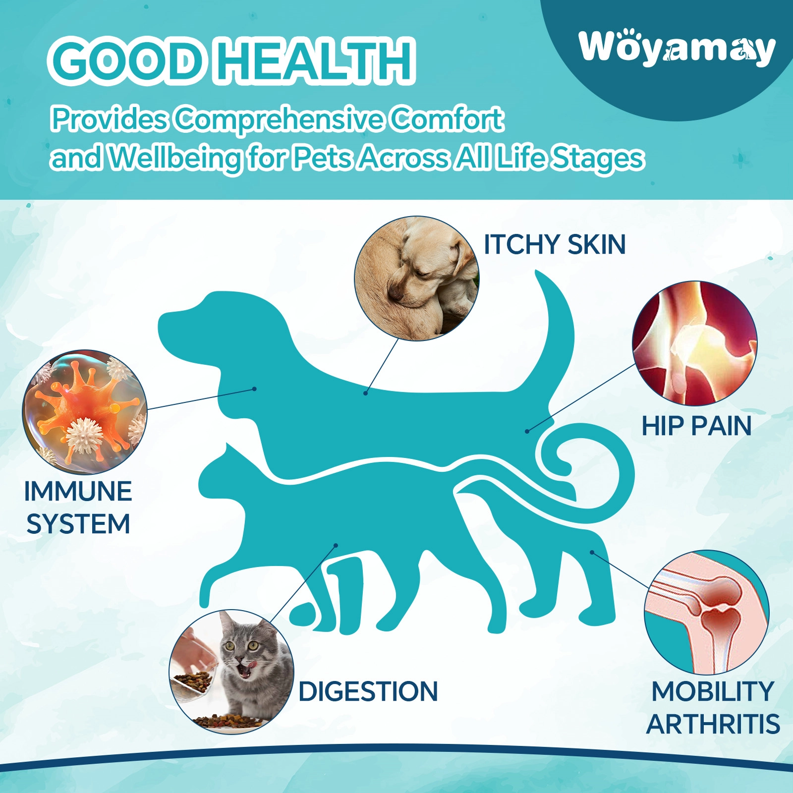 Hemp Seed Oil Drops for Dogs and Cats – Natural Plant-Based Formula ...