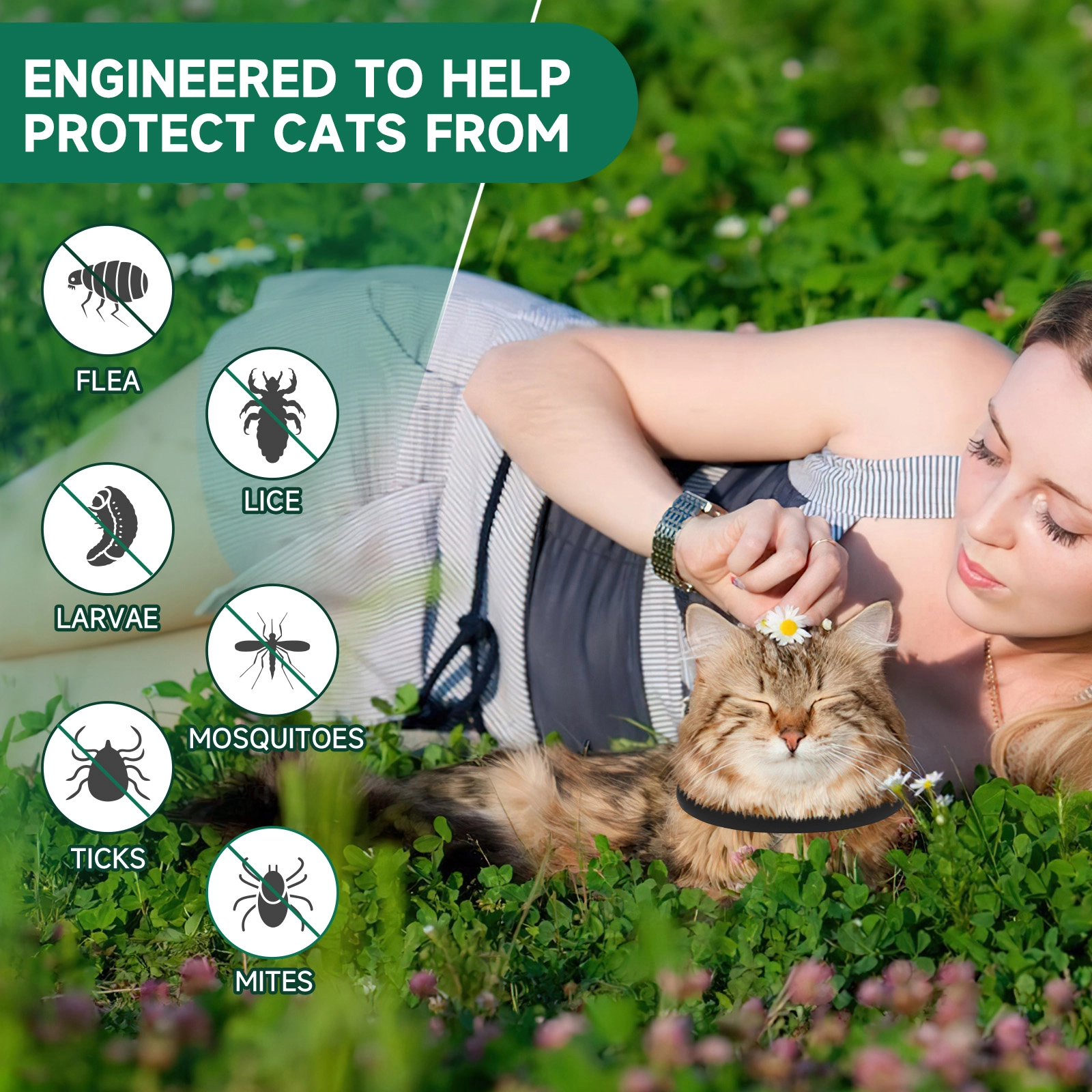 Flea Collar for Cats – Natural Essential Oil-Infused Collar to Help ...