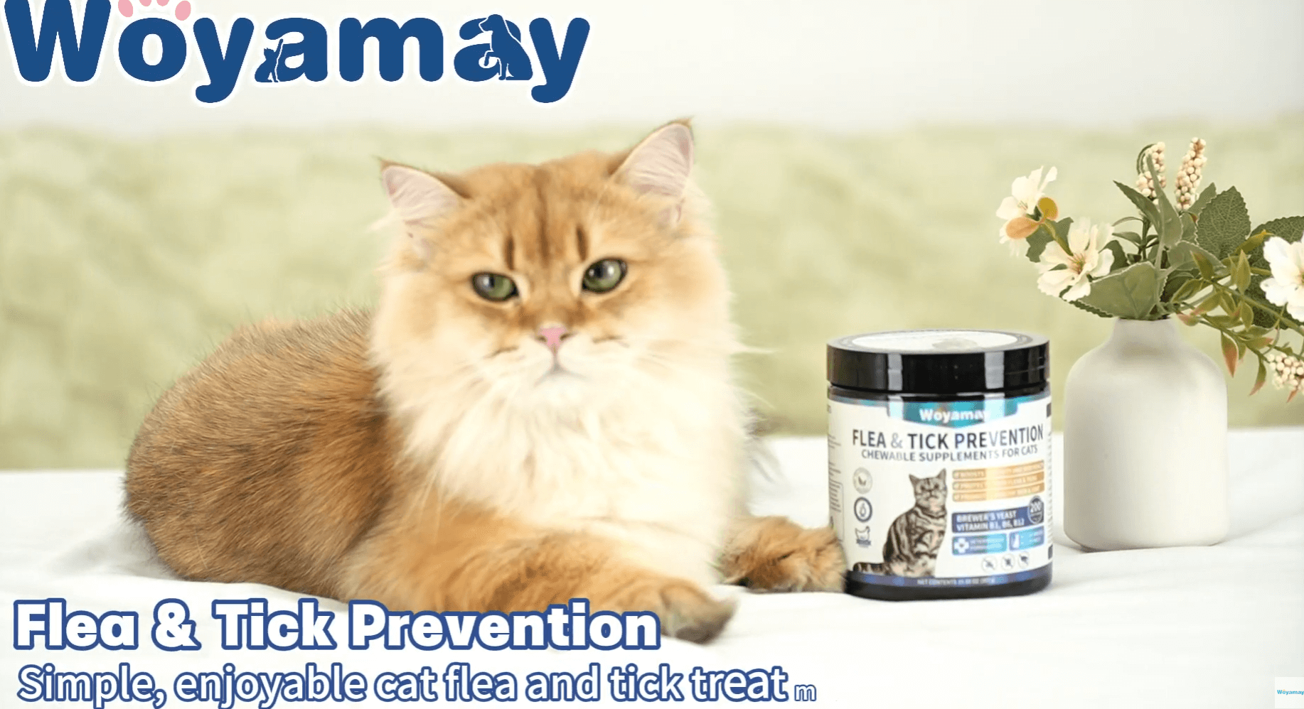 Flea & Tick Chews for Cats – Natural Soft Chews with Brewer’s Yeast ...