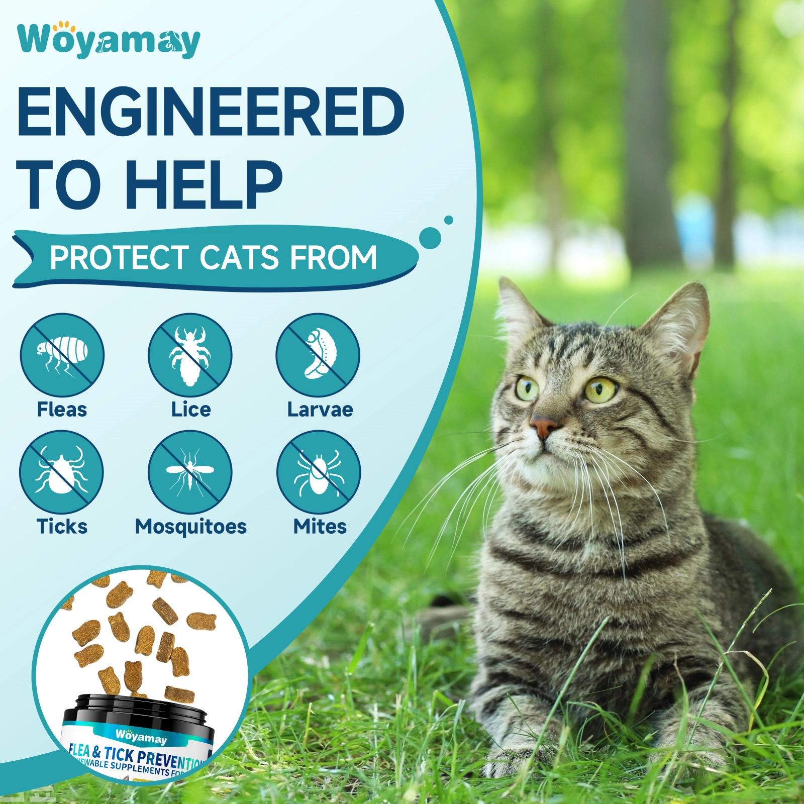 Flea & Tick Chews for Cats – Natural Soft Chews with Brewer’s Yeast ...