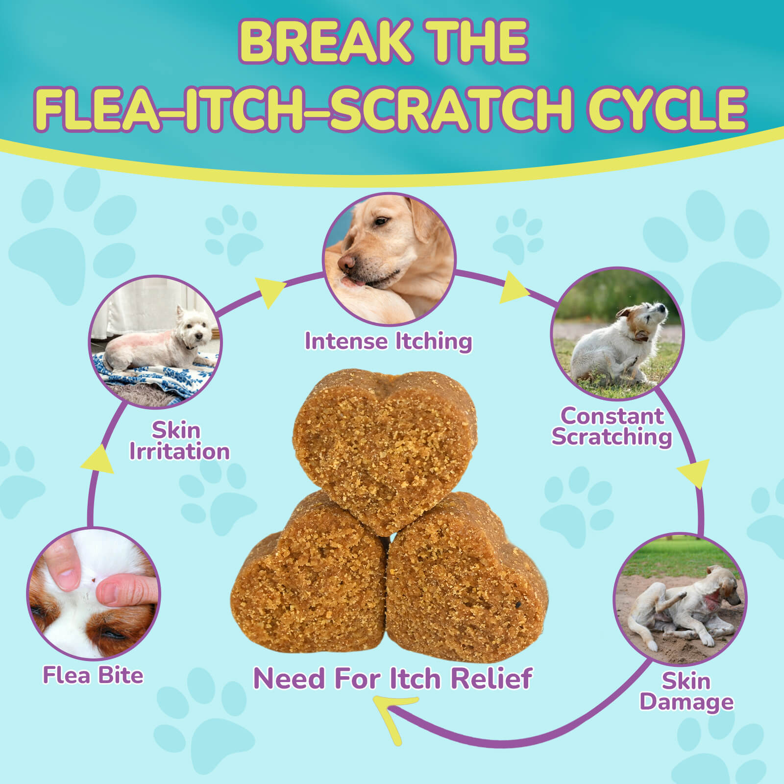 Flea Defense & Itch Relief Soft Chews for Dogs (Chicken Flavor)