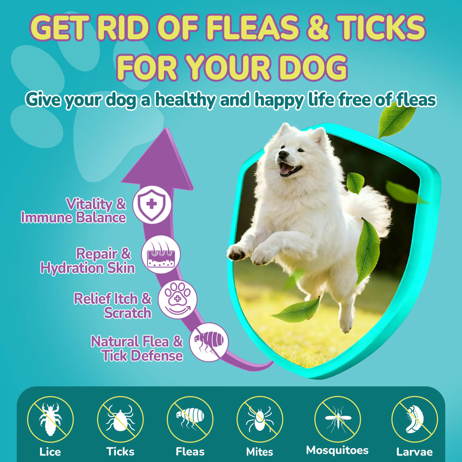 Flea Defense & Itch Relief Soft Chews for Dogs (Chicken Flavor)