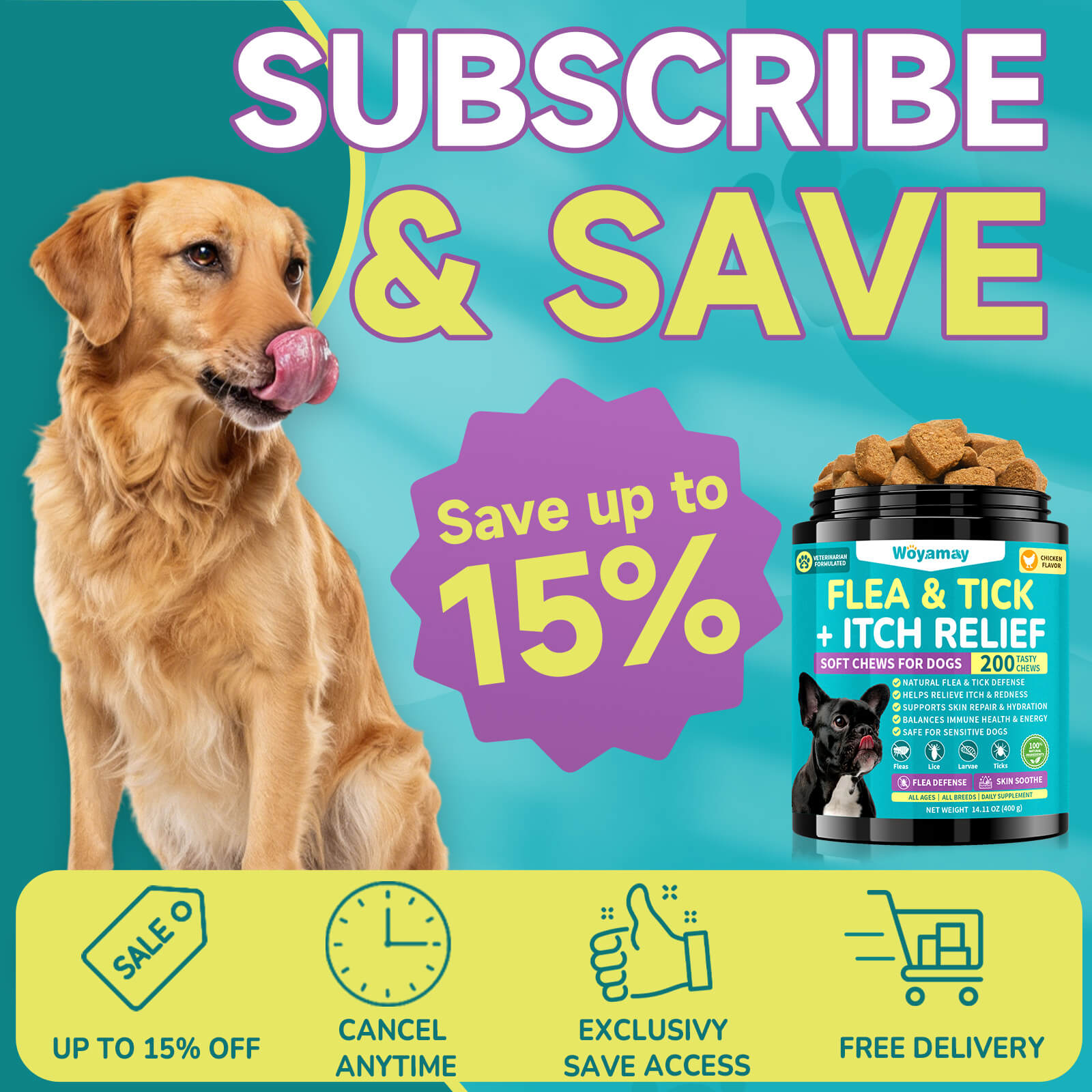 Flea Defense & Itch Relief Soft Chews for Dogs (Chicken Flavor)