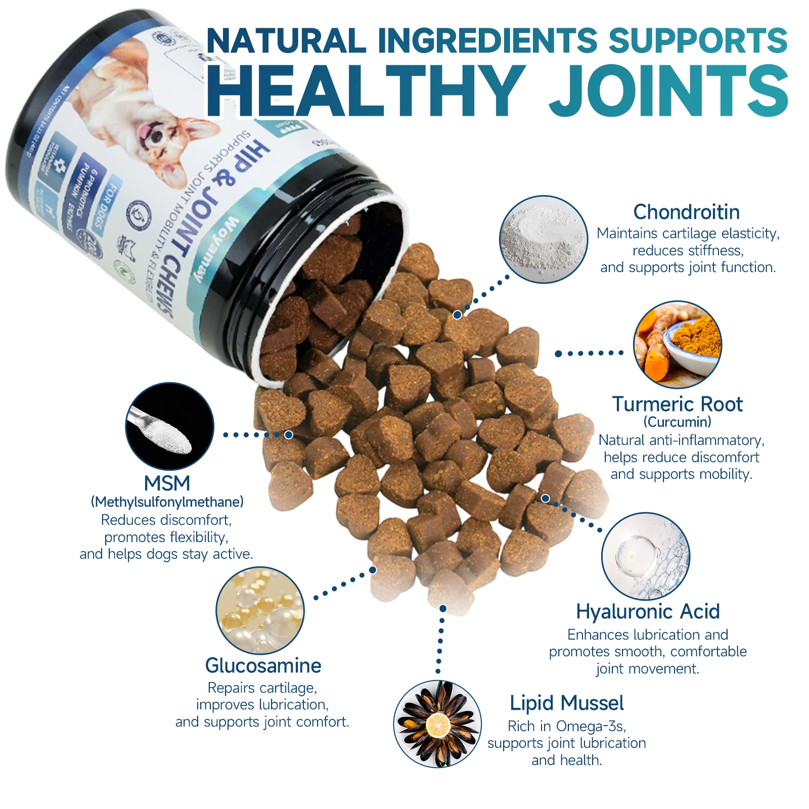 Dog Hip & Joint Supplement – Natural Soft Chews with Glucosamine, MSM ...